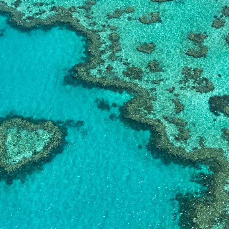 A Great Barrier Reef
