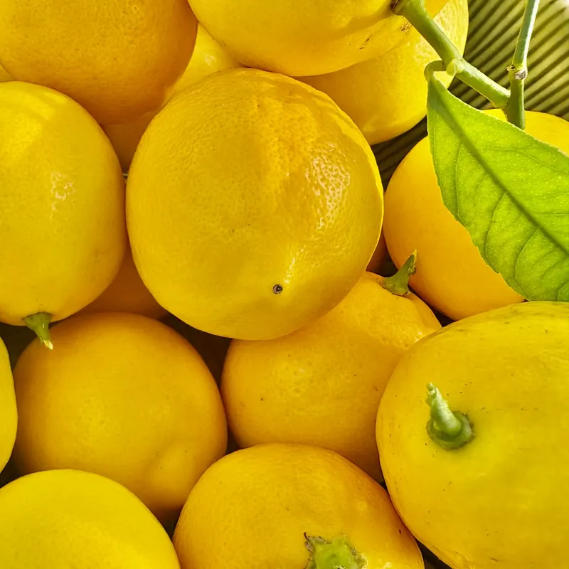 A Fresh Citrus