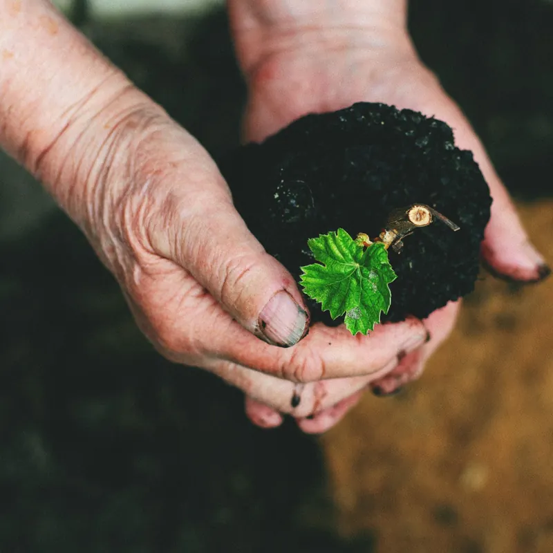 A Gardening